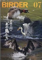 美品【BIRDER 】2023年 美品【BIRDER 】2023年 BIRDER 2023年 07 月号 [雑誌] |本 | 通販 | Amazon