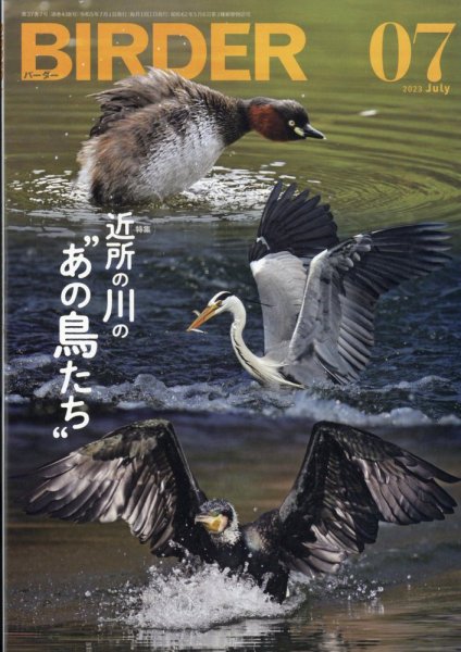 BIRDER（バーダー） 2023年7月号 (発売日2023年06月16日) 表紙