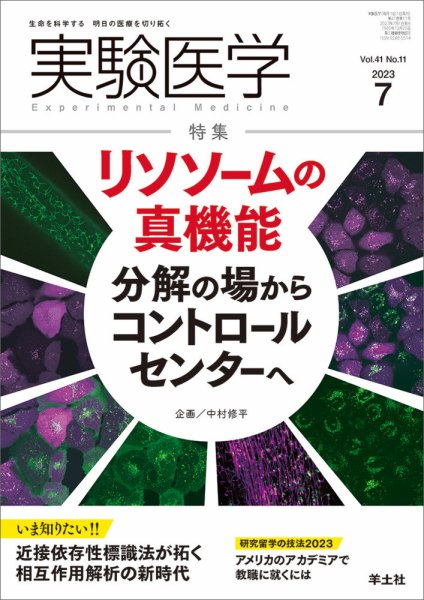 実験医学 Vol.41No.11 (発売日2023年06月20日) 表紙