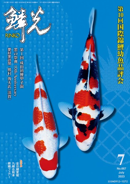 鱗光 2023年06月15日発売号 表紙