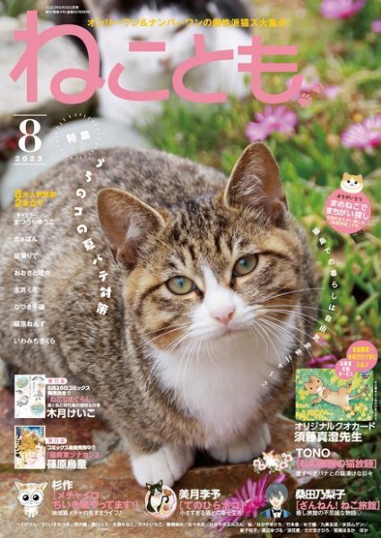 ねことも 2023年8月号 (発売日2023年06月16日) | 雑誌/電子書籍/定期