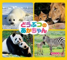 ひらめき！ はつめいものがたり 2024年3月号 (発売日2024年02月01日) 表紙