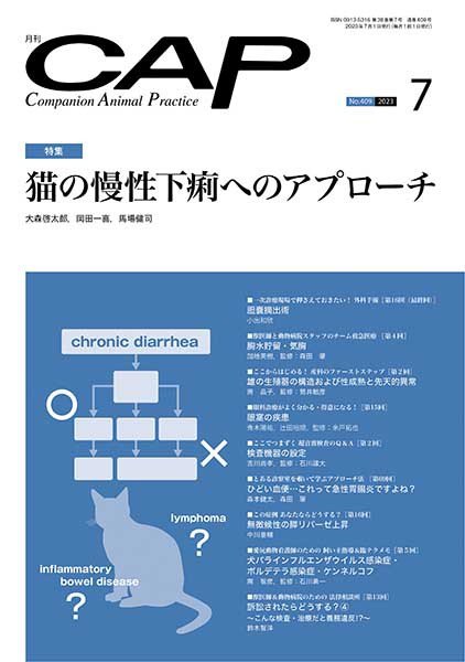 月刊CAP 2023年7月号 (発売日2023年07月01日) 表紙