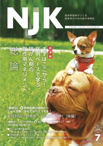 NJK Vol.263 (発売日2023年07月01日) 表紙