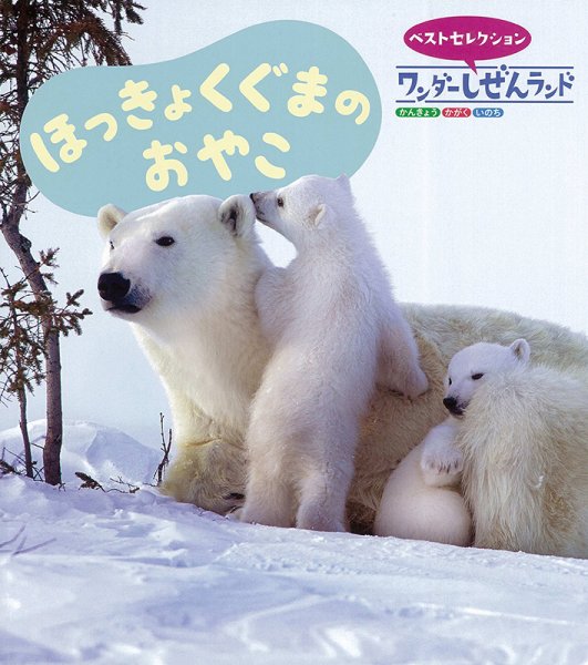 ワンダーしぜんランド 2024年2月号 (発売日2024年02月01日) 表紙