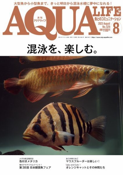 アクアライフ 8月号 (発売日2023年07月11日) 表紙