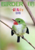 BIRDER（バーダー） 2023年8月号 表紙