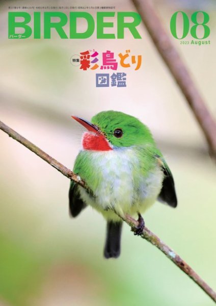 BIRDER（バーダー） 2023年8月号 (発売日2023年07月14日) 表紙
