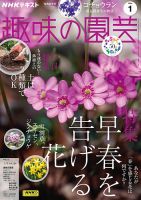 NHK 趣味の園芸 2024年1月号 表紙