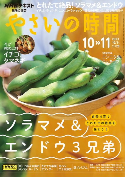 NHK 趣味の園芸 やさいの時間 2023年10月・11月号 (発売日2023年09月21日) 表紙