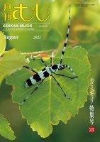 月刊むし 630 (発売日2023年07月20日) | 雑誌/定期購読の予約はFujisan