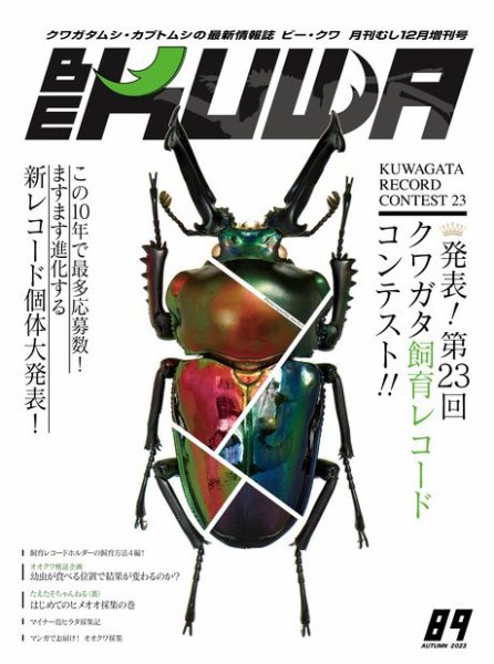 BE-KUWA（ビークワ） 89 (発売日2023年10月13日) | 雑誌/電子書籍/定期