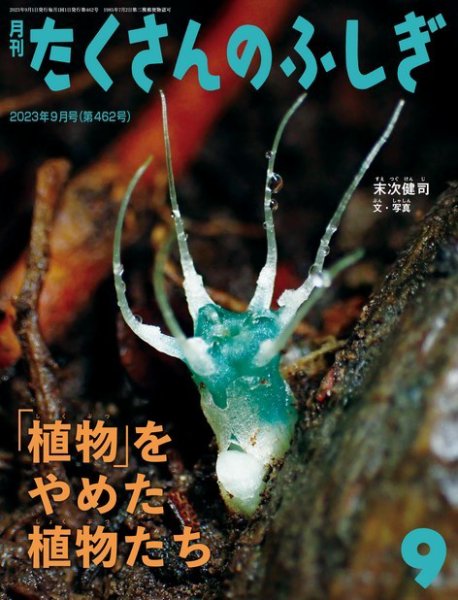 たくさんのふしぎ 2023年9月号 (発売日2023年08月03日) 表紙