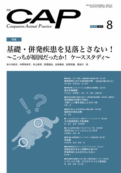 月刊CAP 2023年8月号 (発売日2023年08月01日) 表紙