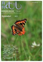 月刊むし 631 (発売日2023年08月19日) 表紙