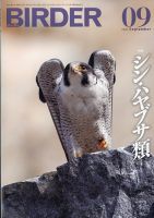 BIRDER（バーダー） 2023年9月号 (発売日2023年08月16日) | 雑誌/電子
