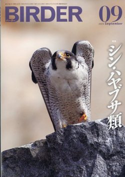 210320△R11△ BIRDER バーダー 37冊セット 不揃い 1992年～95年発行 文