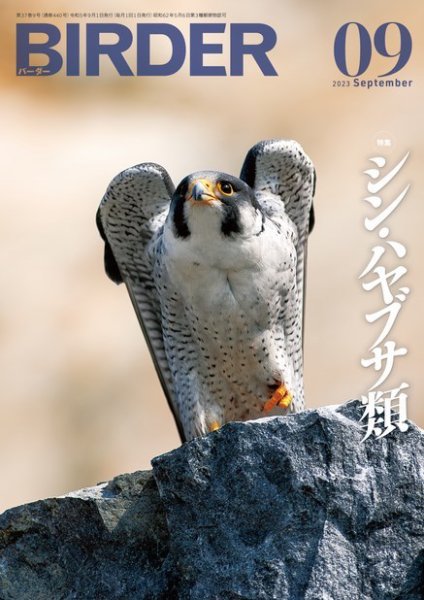 BIRDER（バーダー） 2023年9月号 (発売日2023年08月16日) 表紙
