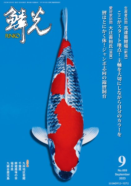 鱗光 2023年08月15日発売号 表紙