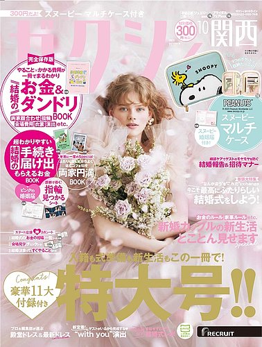 続・日本の意匠 文様の歳時記 全10巻 まとめ売り 続・日本の意匠 文様の歳時記 全10巻 まとめ売り - アート