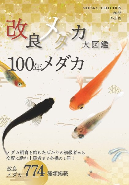 改良メダカ大図鑑 100年メダカ 2022 Vol．19 2022年04月13日発売号 表紙