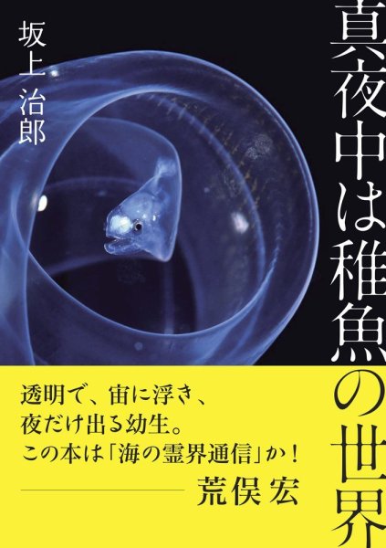 真夜中は稚魚の世界 2016年05月13日発売号 表紙