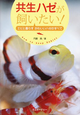 共生ハゼが飼いたい！ 2012年05月02日発売号 表紙