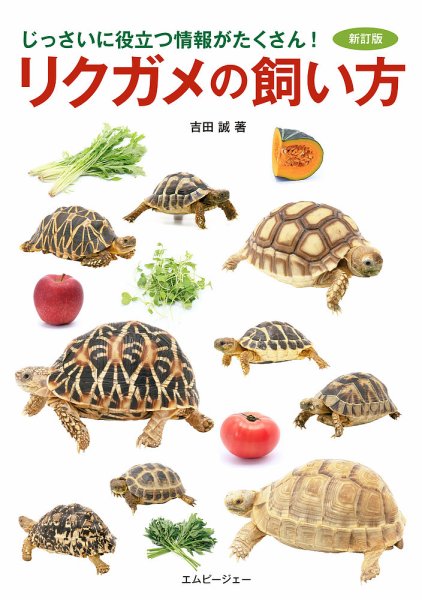 新訂版 リクガメの飼い方 2020年03月02日発売号 表紙