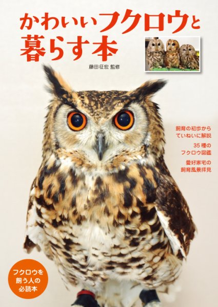 かわいいフクロウと暮らす本 2016年08月12日発売号 表紙