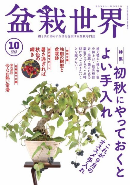 盆栽世界 2023年10月号 (発売日2023年09月04日) 表紙