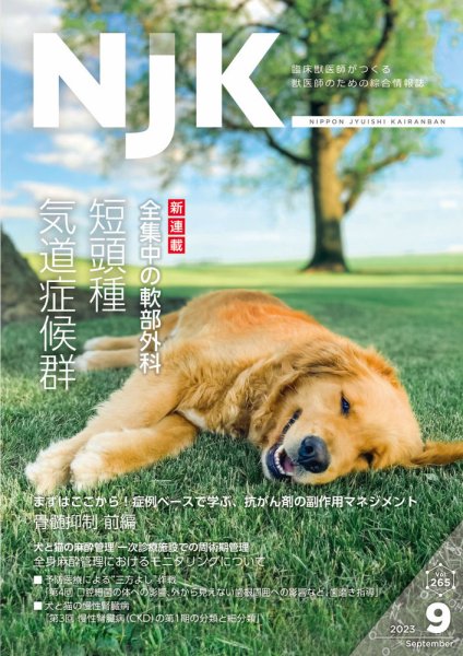 NJK Vol.265 (発売日2023年09月01日) 表紙
