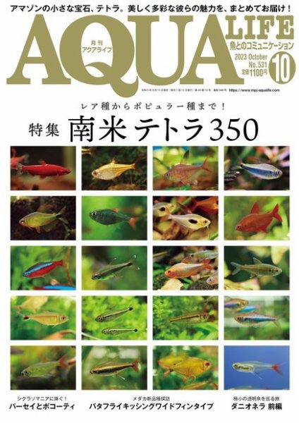 アクアライフ 10月号 (発売日2023年09月11日) 表紙