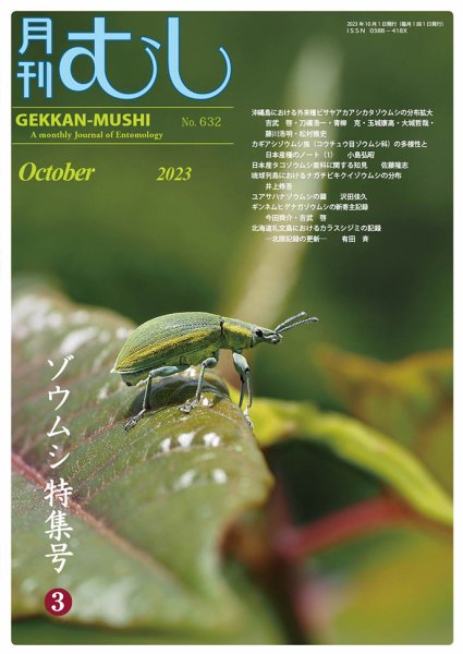 月刊むし 632 (発売日2023年09月20日) 表紙