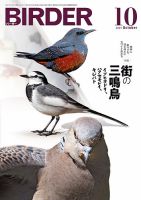 BIRDER（バーダー） 2023年10月号 (発売日2023年09月15日) | 雑誌/電子