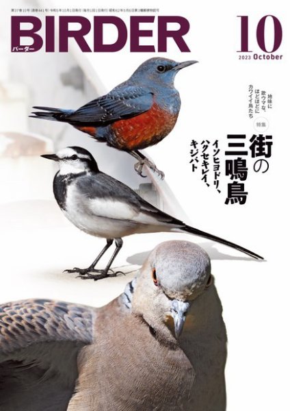 美品【BIRDER 】2023年 BIRDER（バーダー） 2023年10月号 (発売日2023年09月15日) | 雑誌/電子