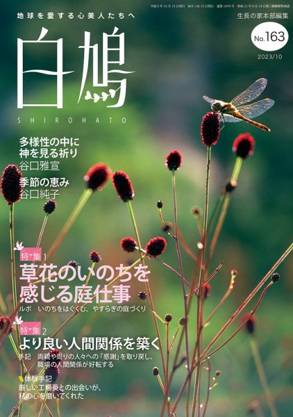 白鳩 No.163 (発売日2023年09月20日) 表紙