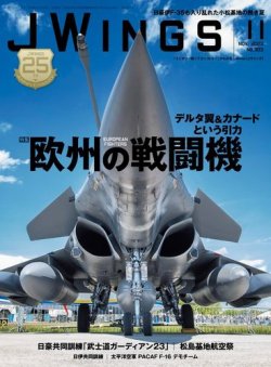 米空軍 F-16 デモチーム WILD 打ち出さ WEASEL