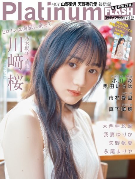 Platinum FLASH（プラチナフラッシュ） Vol.22 (発売日2023年04月27日) 表紙
