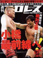 週刊プロレス 5月27日号 (発売日2009年05月13日) 表紙
