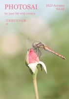 PHOTOSAI（ふぉとさい） Vol.42 (発売日2023年09月27日) 表紙