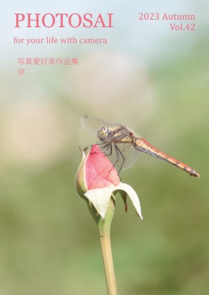 PHOTOSAI（ふぉとさい） Vol.42 (発売日2023年09月27日) 表紙