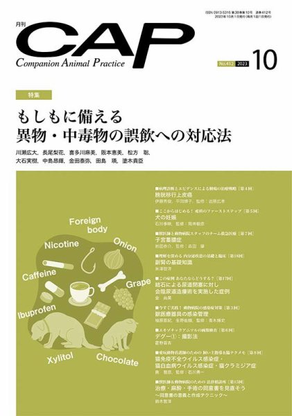 月刊CAP 2023年10月号 (発売日2023年10月01日) 表紙