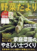 野菜だより 2023年11月号 表紙