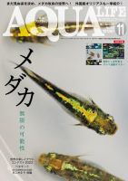 AQUA LIFE 2020年5月号・11月号 アクアライフ 11月号 (発売日2023年10月11日) | 雑誌/電子書籍/定期