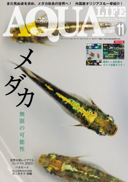 アクアライフ 11月号 (発売日2023年10月11日) | 雑誌/電子書籍/定期