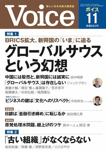 STUDIO VOICE 11月号 STUDIO VOICE スタジオ・ボイス Vol.251 1996年11月号 特集 アート