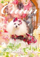 Cuun（クーン） 2023年10月号 (発売日2023年10月10日) 表紙