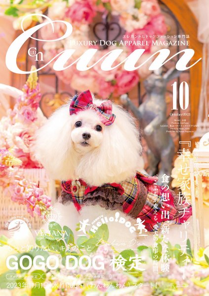 Cuun（クーン） 2023年10月号 (発売日2023年10月10日) 表紙