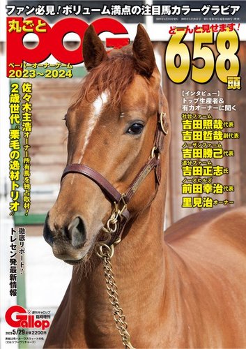 信頼 週刊ギャロップ GALLOP 臨時増刊号 23冊セット 89,1992-2013 趣味 