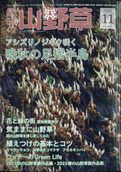 趣味の山野草 2023年11月号 (発売日2023年10月12日) 表紙